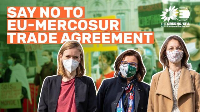 Embedded thumbnail for Why is the EU more protectionist than the United States?